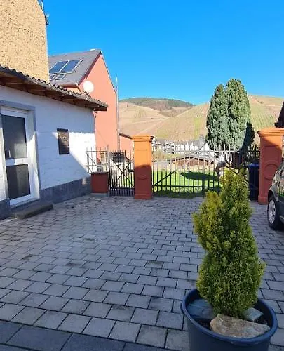 Schnitzius Apartment Kinheim